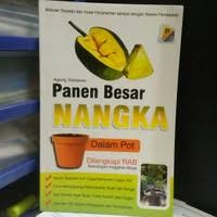 Image of Panen Besar Nangka Dalam Pot Dilengkapi RAB