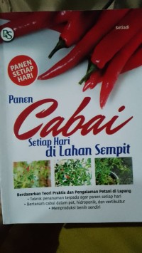 Image of Panen Cabai Setiap Hari Dilahan Sempit